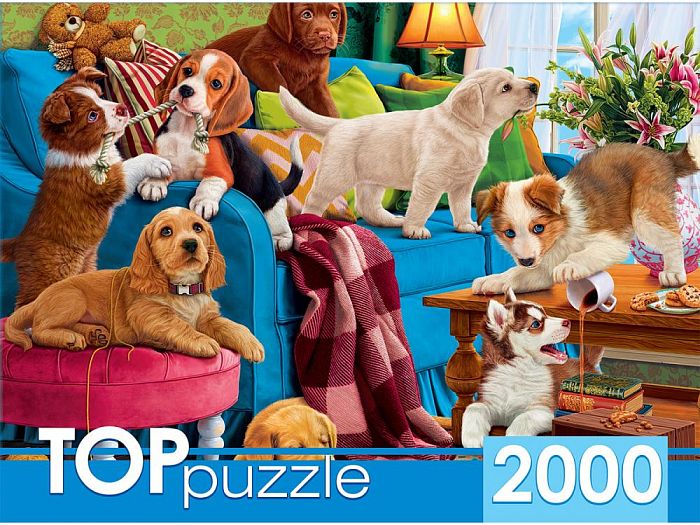 Puzzle TOP Puzzle 2000 details: Puppies alone at home ХТП2000-1597