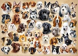 Castorland 200 pieces puzzle: Dog breeds, collage