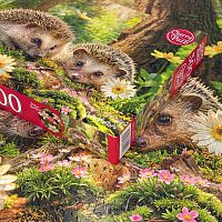 Cherry Pazzi Puzzle 500 pieces: Hedgehogs