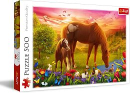 Trefl 500 Puzzle pieces: Horses in a meadow