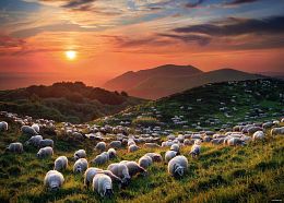 Heye 1000 Piece Puzzle: Pasture in the Mountains