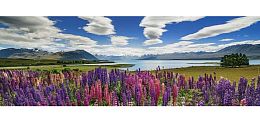 Puzzle Heye 1000 pieces flowers in the lake Takano