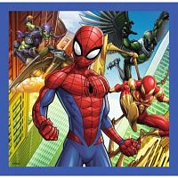 Puzzle Trefl 20х36х50 details: Power spider