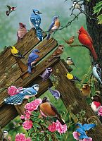 Cobble Hill 1000 Pieces Puzzle: Forest Birds