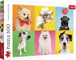 Trefl puzzle 500 items: Dogs