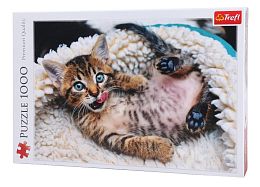 Puzzle Trefl 1000 pieces: Funny kitten