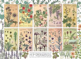 Cobble Hill 1000 pieces puzzle: Maurice Verneuil. Sketches of plants