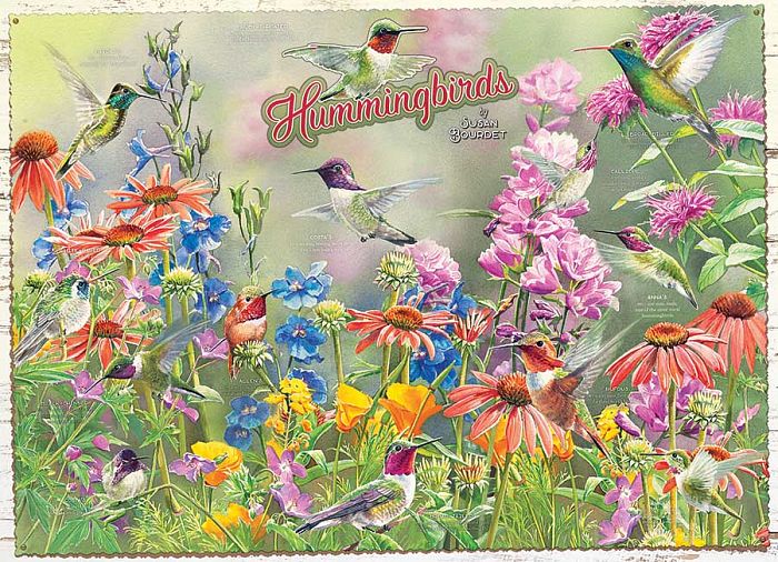 Cobble Hill 1000 pieces puzzle: Hummingbird 80270