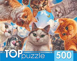 TOP Puzzle 500 pieces: An unusual selfie of cats