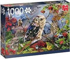 Puzzle Jumbo 1000 pieces: Owls in the moonlight