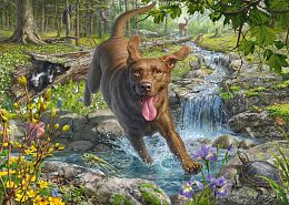 Schmidt 1000-piece puzzle: M.Fredrickson. Chocolate labrador in the spring forest