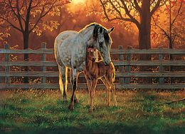 Cobble Hill 500 Pieces Puzzle: Horse with Foal at Sunset