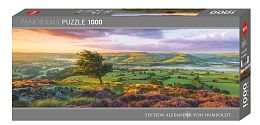 Heye 1000 Piece Puzzle: Purple Bloom