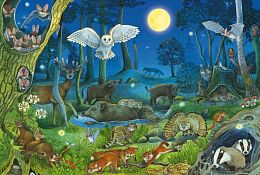 Schmidt 100-piece Puzzle: Animals in the Night Forest