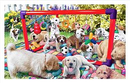 Pintoo Puzzle 1000 pieces: St.Reed. Playground for puppies