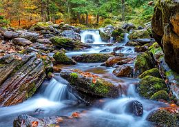 Enjoy 1000 pieces Puzzle: Forest Stream in autumn