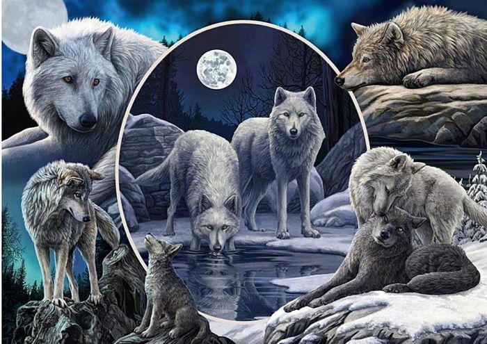 Schmidt puzzle 1000 pieces: L. Parker the Magnificent wolves 59666