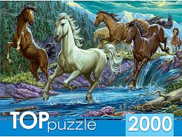 TOP jigsaw Puzzle 2000 parts: the Night herd of horses