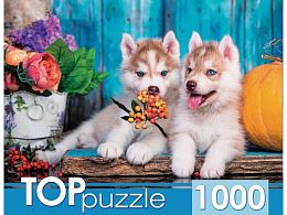 TOP Puzzle 1000 Pieces: Two Husky Puppies