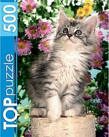 TOP Puzzle 500 pieces: Kitten in Colors