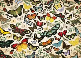 Puzzle Jumbo 1000 pieces: Butterflies