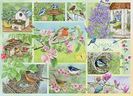 Cobble Hill Puzzle 500 pieces: Garden Birds in Spring