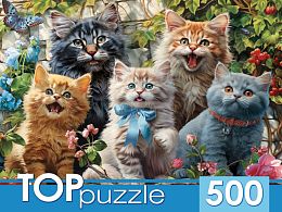 TOP Puzzle 500 pieces: Selfies of kittens in the garden