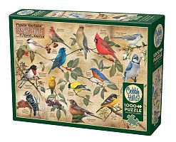 Cobble Hill 1000 pieces Puzzle: Types of garden birds