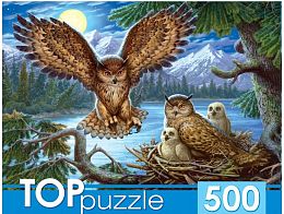 TOP Puzzle 500 Pieces: Night Owls