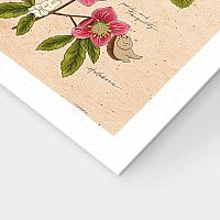 Pintoo 600-piece puzzle: Mandie. Winter flowers