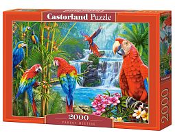 Castorland 2000 Puzzle details: Parrots