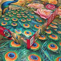 Cherry Pazzi Puzzle 1000 pieces: Paradise Peacock