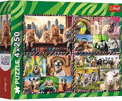 Trefl 4x250 Puzzle pieces: Funny Animals