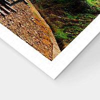 Pintoo 1000-piece Puzzle: Forest Train in Alishan National Park