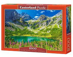 Castorland 1000-piece puzzle: Lake. The Tatras. Slovakia