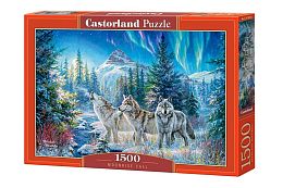 Castorland Puzzle 1500 details: Full Moon