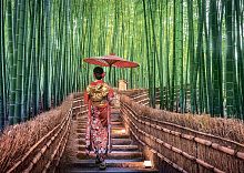 Freys Puzzle 1000 pieces: Bamboo Forest