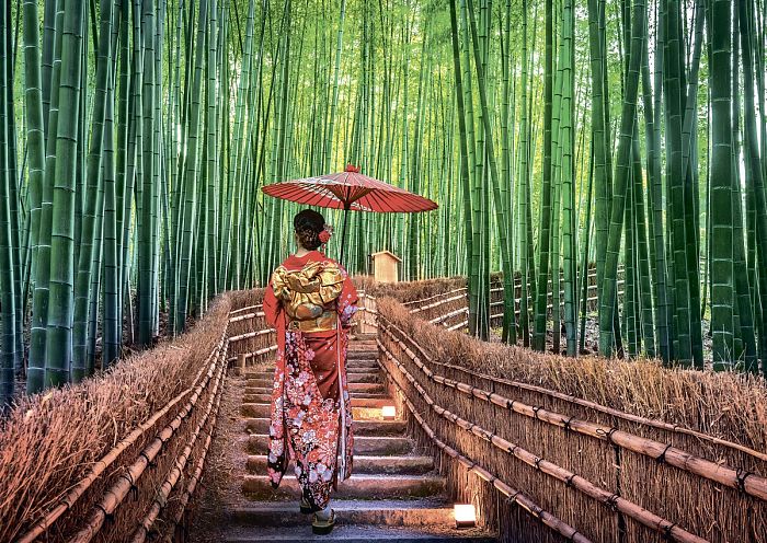 Freys Puzzle 1000 pieces: Bamboo Forest PZL-1000/29