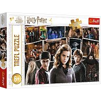 Trefl 160 Puzzle pieces: Harry Potter and Friends