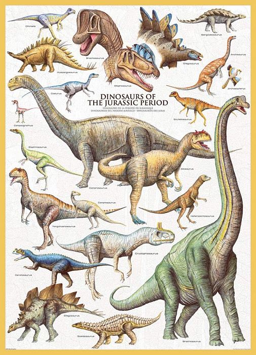Puzzle Eurographics 1000 pieces: Dinosaurs of the Jurassic period 6000-0099