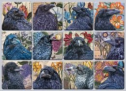 Cobble Hill Puzzle 1000 pieces: A Dozen Ravens