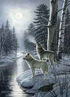 Cobble Hill 1000 Pieces Puzzle: Wolves in the New Moon
