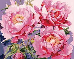 Painting by Jazzle Numbers: Peonies by Sarah Bernhardt