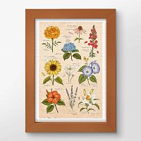 Pintoo 600-piece puzzle: Mandie. Summer flowers