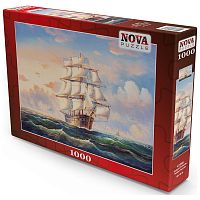 Nova 1000 Pieces Puzzle: Swimming in rough Waters