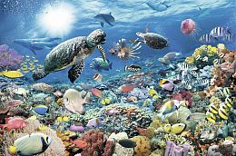 Ravensburger Puzzle 5000 pieces: Under the water