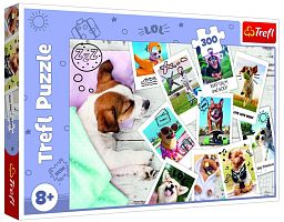 Puzzle Trefl 300 pieces: Dogs. Summer pictures