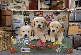 Puzzle Educa 500 details: the Puppies in the Luggage