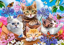 Puzzle Castorland 500 details: Kittens in colors