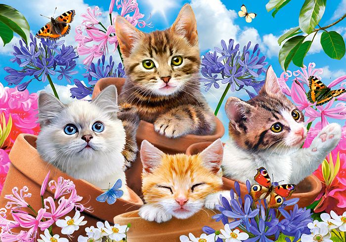 Puzzle Castorland 500 details: Kittens in colors B-53513